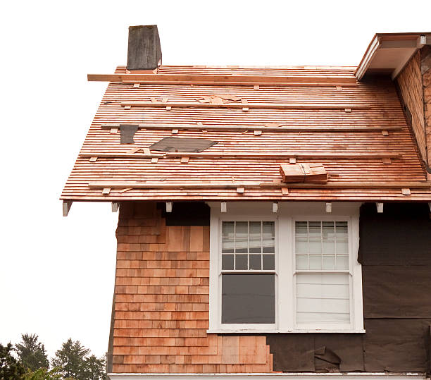 Best Insulated Siding Installation  in Braddock, PA